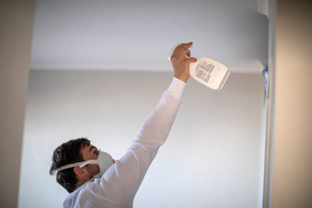 Best Mold Testing and Removal  in Camp Springs, MD
